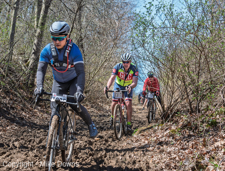 _DSC8445-Enhanced-NR